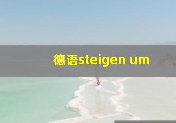 德语steigen um